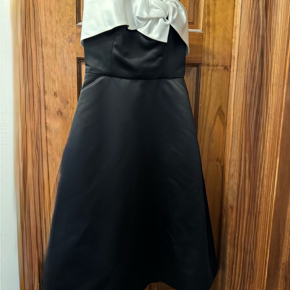 Elegant Erin erin featherston Black and White Strapless Dress